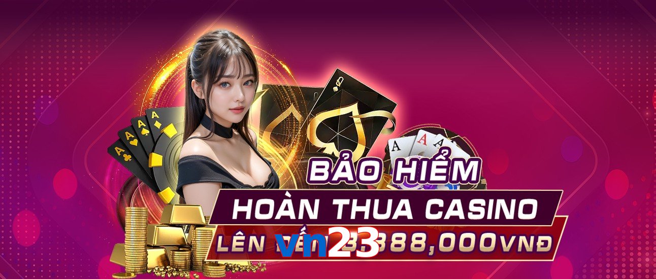 vn23