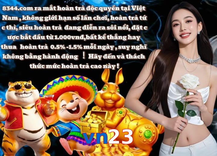 vn23